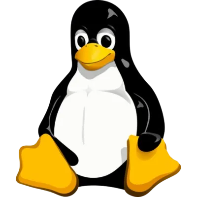 Dino Cilic, Web Developer