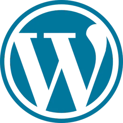 Dino Cilic, Web Developer